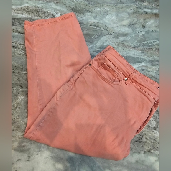 Gloria Vanderbilt Coral Jeans Women’s Size 16 Straight Leg Stretch Pants - Picture 1 of 12